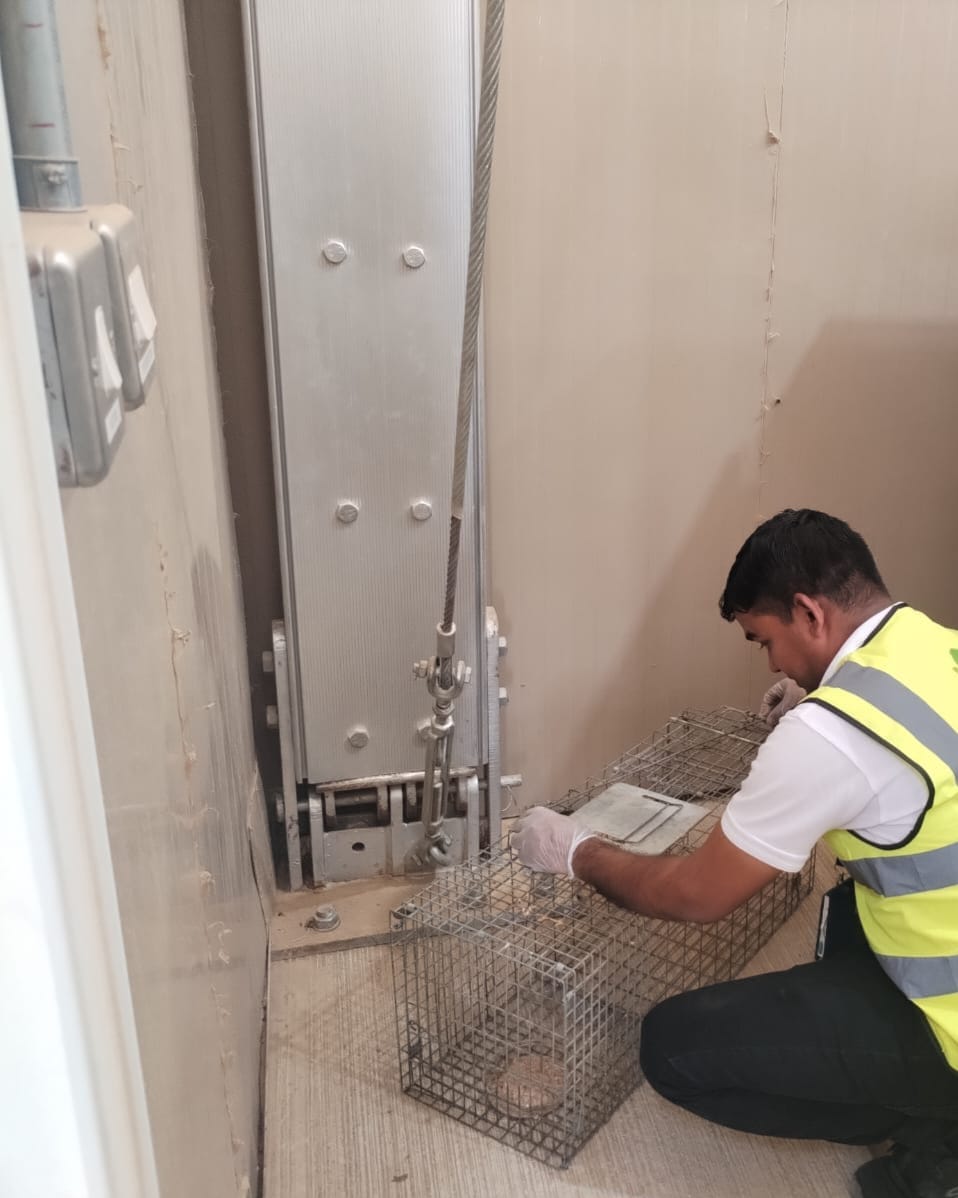 Novaroots Project 47